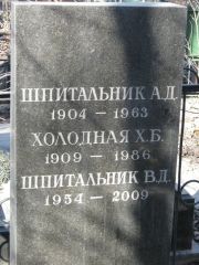 Холодная Х. Б., Москва, Востряковское кладбище