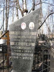 Лифшиц Семен Маркович, Москва, Востряковское кладбище