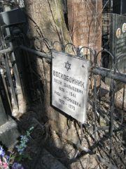 Воскобойник Евсей Давыдович, Москва, Востряковское кладбище