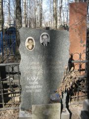 Голод Софья Айзиковна, Москва, Востряковское кладбище