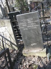 Дижур Лазарь Борисович, Москва, Востряковское кладбище