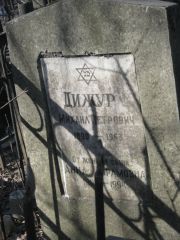 Дижур Михаил Петрович, Москва, Востряковское кладбище
