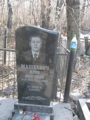 Машкевич Илья Меерович, Москва, Востряковское кладбище