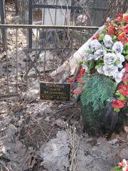 Гаухман Бася Федоровна, Москва, Востряковское кладбище