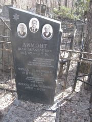 Димонт Шая Зейделевич, Москва, Востряковское кладбище