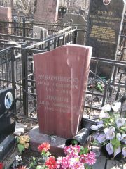 Лукомников Илья Осипович, Москва, Востряковское кладбище