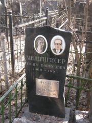 Мешенгисер Ефим Борисович, Москва, Востряковское кладбище