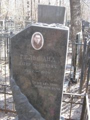 Гельфанд Алтер Мовшевич, Москва, Востряковское кладбище