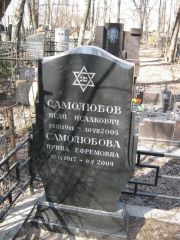 Самолюбова Ирина Ефремовна, Москва, Востряковское кладбище