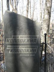 Колодкина Ида Яковлевна, Москва, Востряковское кладбище
