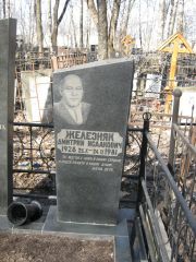 Железняк Дмитрий Исаакович, Москва, Востряковское кладбище