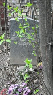 Розенбаум Рива Иосифовна, Москва, Востряковское кладбище