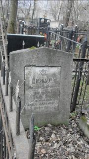 Дижур Михаил Петрович, Москва, Востряковское кладбище