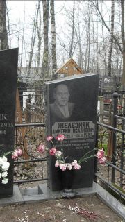 Железняк Дмитрий Исакович, Москва, Востряковское кладбище