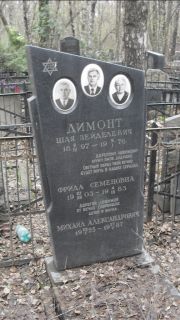 Димонт Шая Зейделевич, Москва, Востряковское кладбище