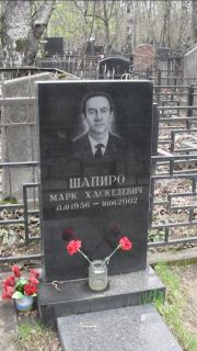 Шапиро Марк Хаскелевич, Москва, Востряковское кладбище
