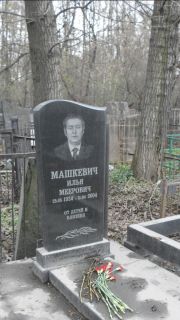 Машкевич Илья Меерович, Москва, Востряковское кладбище