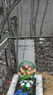 Скляревич Г. А., Москва, Востряковское кладбище