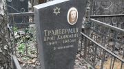 Трайберман Арон Хаимович, Москва, Востряковское кладбище