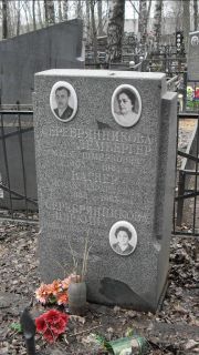 Серебрянникова-Лебергер Маня Шмерковна, Москва, Востряковское кладбище