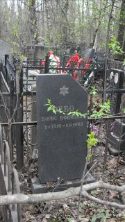 Ребо Борис Ефимович, Москва, Востряковское кладбище
