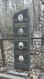 Шнейдерман Берта Яковлевна, Москва, Востряковское кладбище