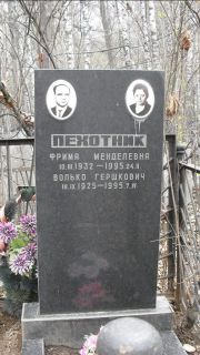 Пехотник Фрима Менделевна, Москва, Востряковское кладбище
