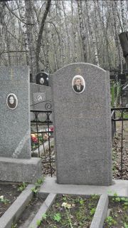 Штейнман  , Москва, Востряковское кладбище
