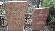 Резникова София Моисеевна, Москва, Востряковское кладбище