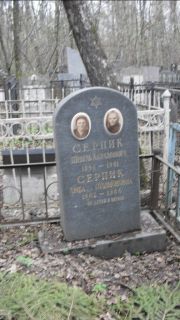 Серпик Шнель Абрамович, Москва, Востряковское кладбище