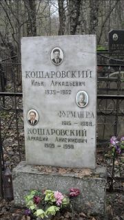 Кошаровский Илья Аркадьевич, Москва, Востряковское кладбище