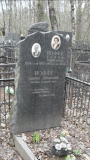 Иоффе София Борисовна, Москва, Востряковское кладбище