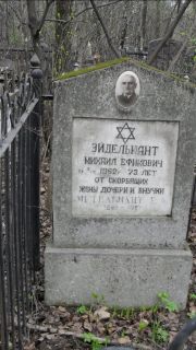 Эйдельнант Михаил Ефимович, Москва, Востряковское кладбище