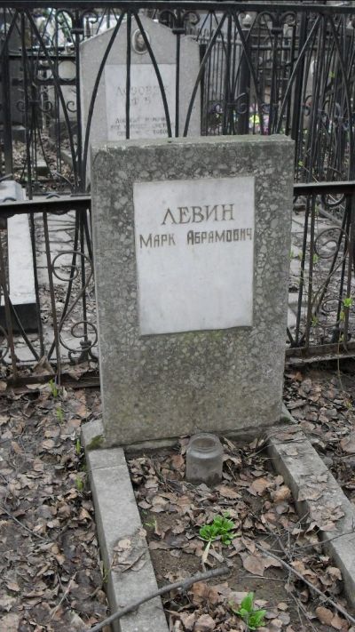 Левин Марк Абрамович