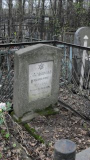 Зальцман Герш Ильхович, Москва, Востряковское кладбище