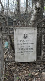 Серебрянник Давид Бенционович, Москва, Востряковское кладбище