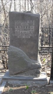 Каплун-Розенберг Р. Г., Москва, Востряковское кладбище