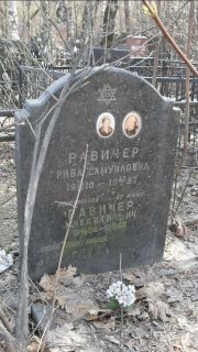 Равичер Рива Самуиловна, Москва, Востряковское кладбище