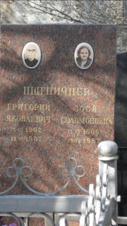 Пшеничнер Григорий Яковлевич, Москва, Востряковское кладбище