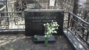 Кацнельсон Матвей Аврамович, Москва, Востряковское кладбище