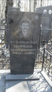Шамилов Шолум Нисанович, Москва, Востряковское кладбище