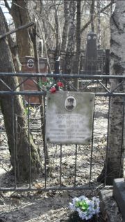 Фризер Эли Наумович, Москва, Востряковское кладбище