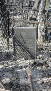 Фридман Софья Григорьевна, Москва, Востряковское кладбище
