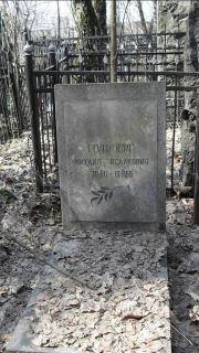 Гольберг Михаил Исаакович, Москва, Востряковское кладбище