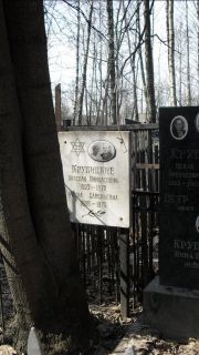 Крупицкий Араслан Пинхасович, Москва, Востряковское кладбище