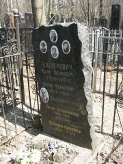 Альперович Иосиф Исаакович, Москва, Востряковское кладбище