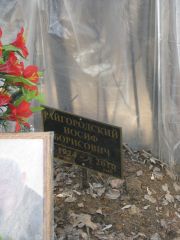 Райгородский Иосиф Борисович, Москва, Востряковское кладбище