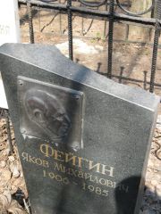 Фейгин Яков Михайлович, Москва, Востряковское кладбище