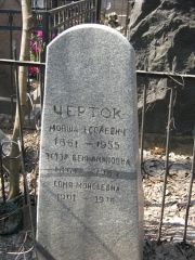 Черток Мовша Есолевич, Москва, Востряковское кладбище