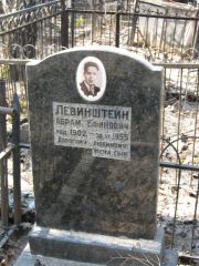 Левинштейн Абрам Ефимович, Москва, Востряковское кладбище